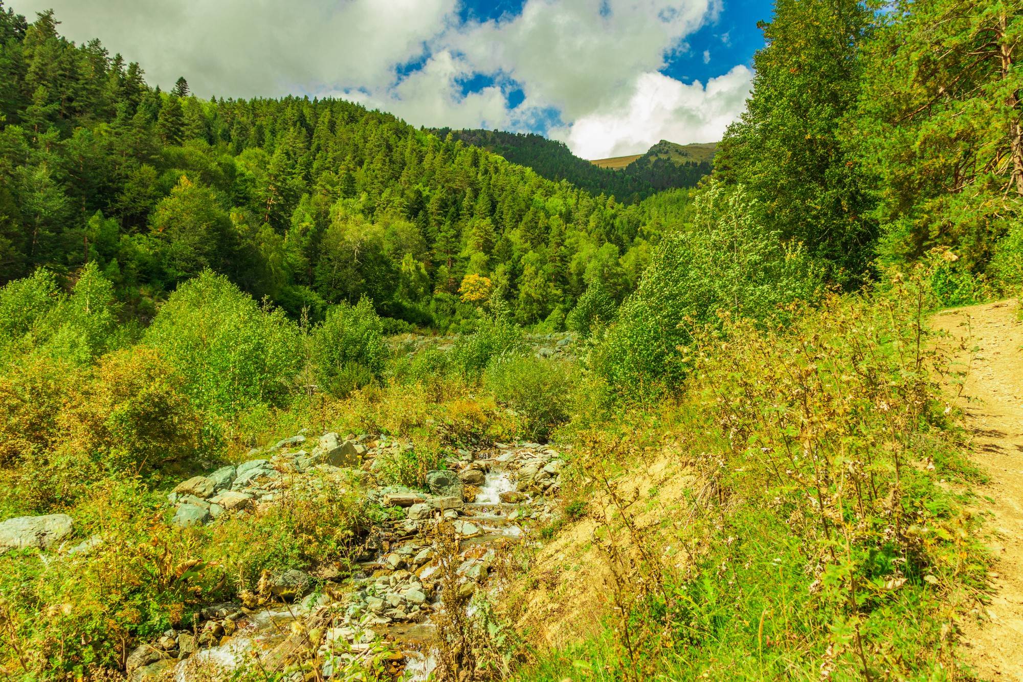 Beskid Niski i Magurski Park Narodowy jako perły Karpat